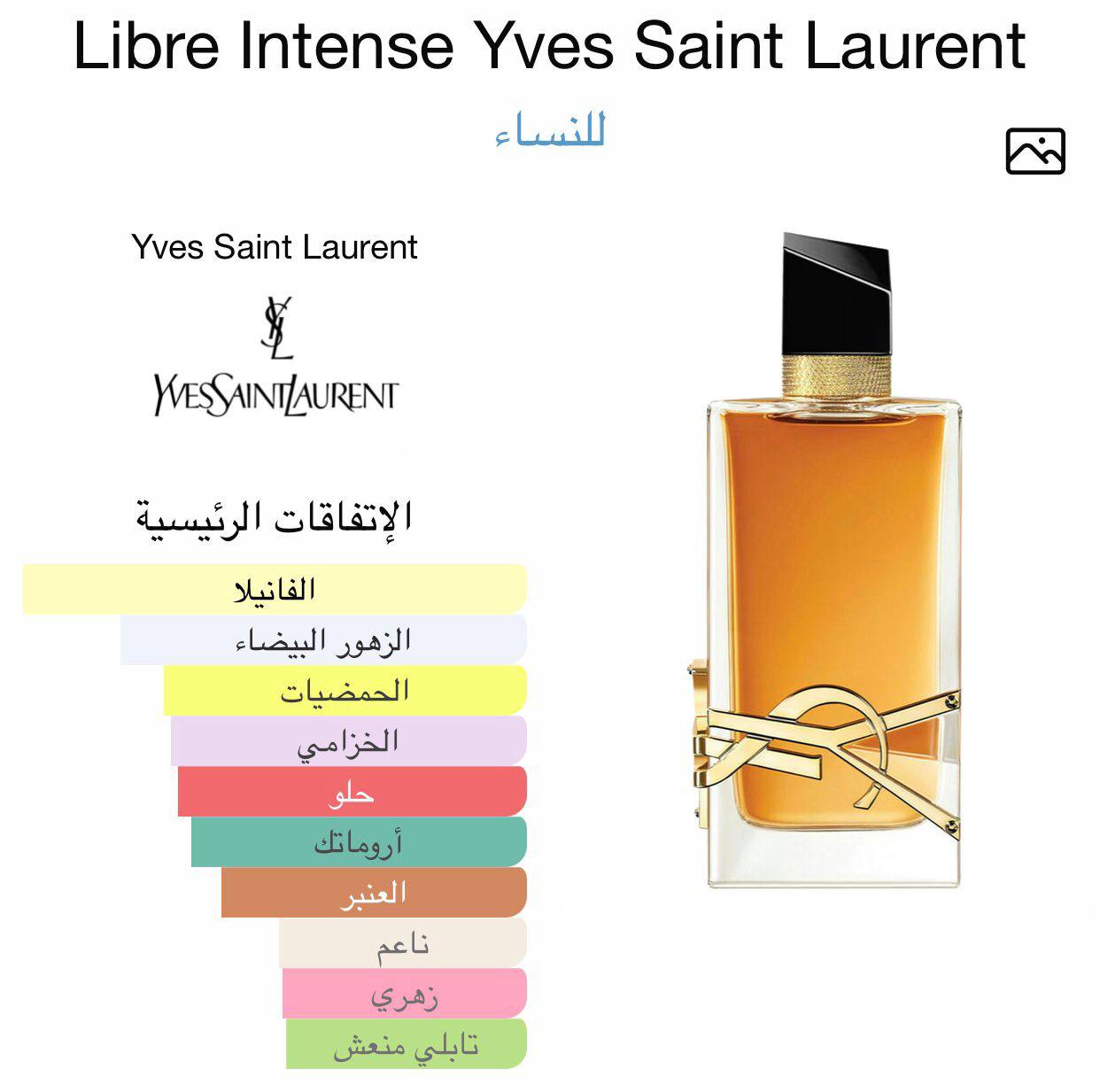 Sina NO-13 Inspired by Libre Intense